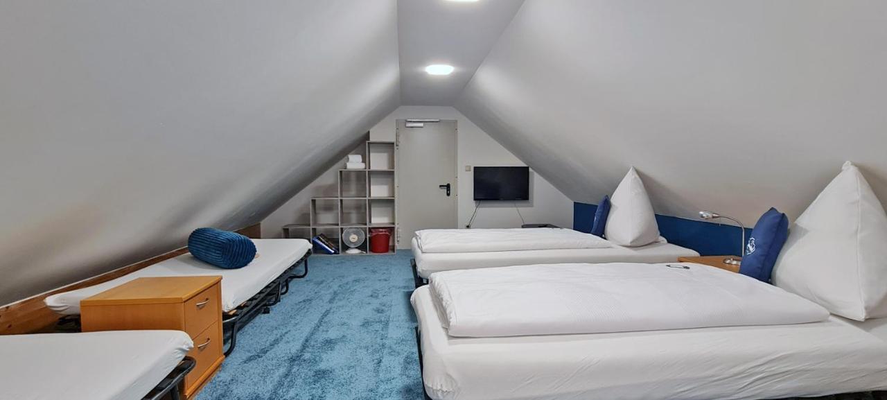 Donau-Hotel Sinzing Екстер'єр фото