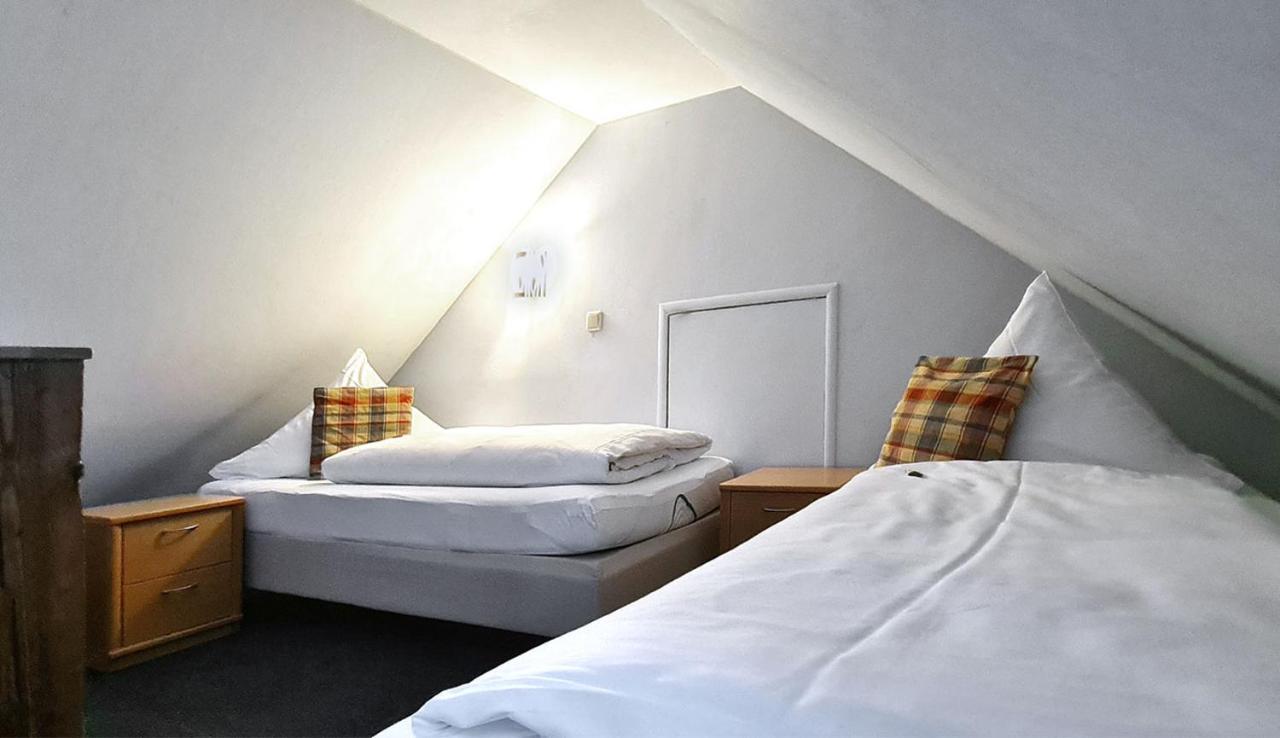 Donau-Hotel Sinzing Екстер'єр фото